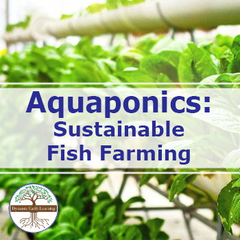 Aquaponics: Fish Farming | Video, Handout, and Worksheets