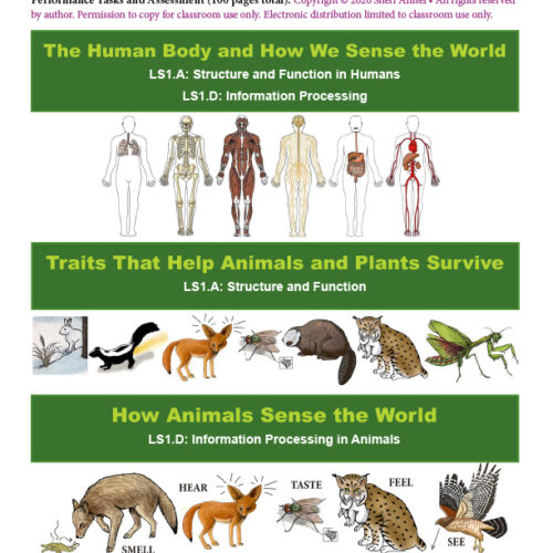 3 Science Bundles for Grade 4 - How Animals Sense the World, Traits That Help Animals and Plants Survive, Body Systems's featured image