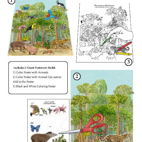 Amazon Rainforest Poster-Making Bundle - Build a Giant COLOR Poster and a COLORING Poster's featured image