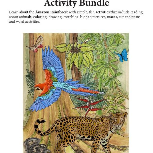 Amazon Rainforest Activity Bundle: Coloring, Mazes, Hidden Pictures, Matching, Connect the Dots, Drawing, and Searches's featured image