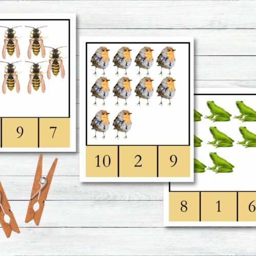 Montessori Garden Friends, Numbers, Matching, Math Games, Preschool, Pre-K, Hands-On Math, Matching Numbers's featured image