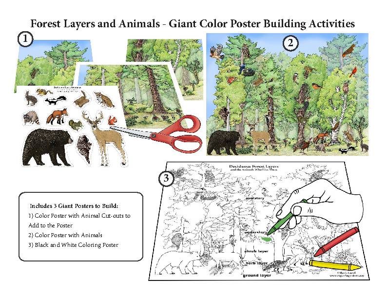 Jungle Giant Coloring Poster – Cub Shrub