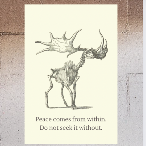 Buddhist Dharma Meditation Mindfulness Peace Calm Room Skeleton Moose Poster's featured image