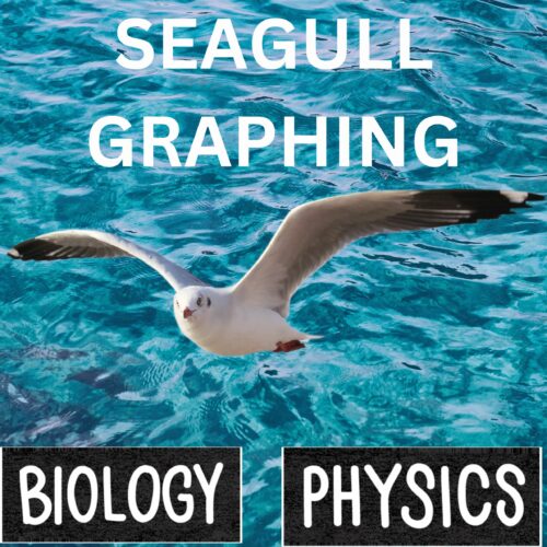 Physics Biology Math Graphing a Seagull's featured image