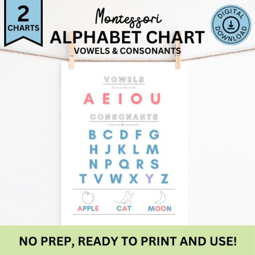Vowels and Consonants Chart, 18 Print Sizes, Upper Case and Lower Case Alphabet, Language Arts, Montessori-inspired's featured image