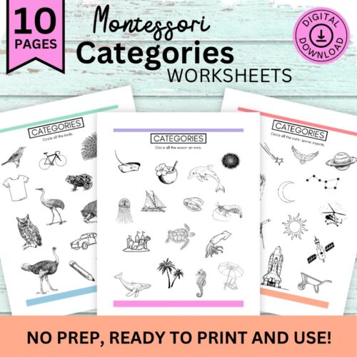 Categories Worksheets, Visual Differentiation, Sorting Activity, Montessori Materials, Homeschool, Homework Pages's featured image