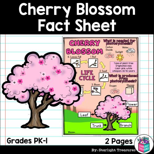 Cherry Blossom Fact Sheet for Early Readers - Plant Study's featured image