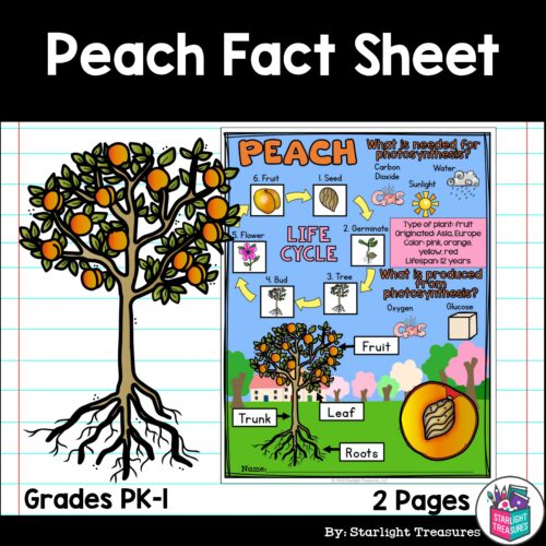 Peach Fact Sheet for Early Readers - Plant Study's featured image