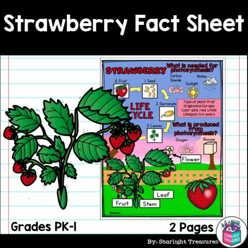 Strawberry Fact Sheet for Early Readers - Plant Study's featured image
