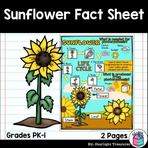 Sunflower Fact Sheet for Early Readers - Plant Study's featured image