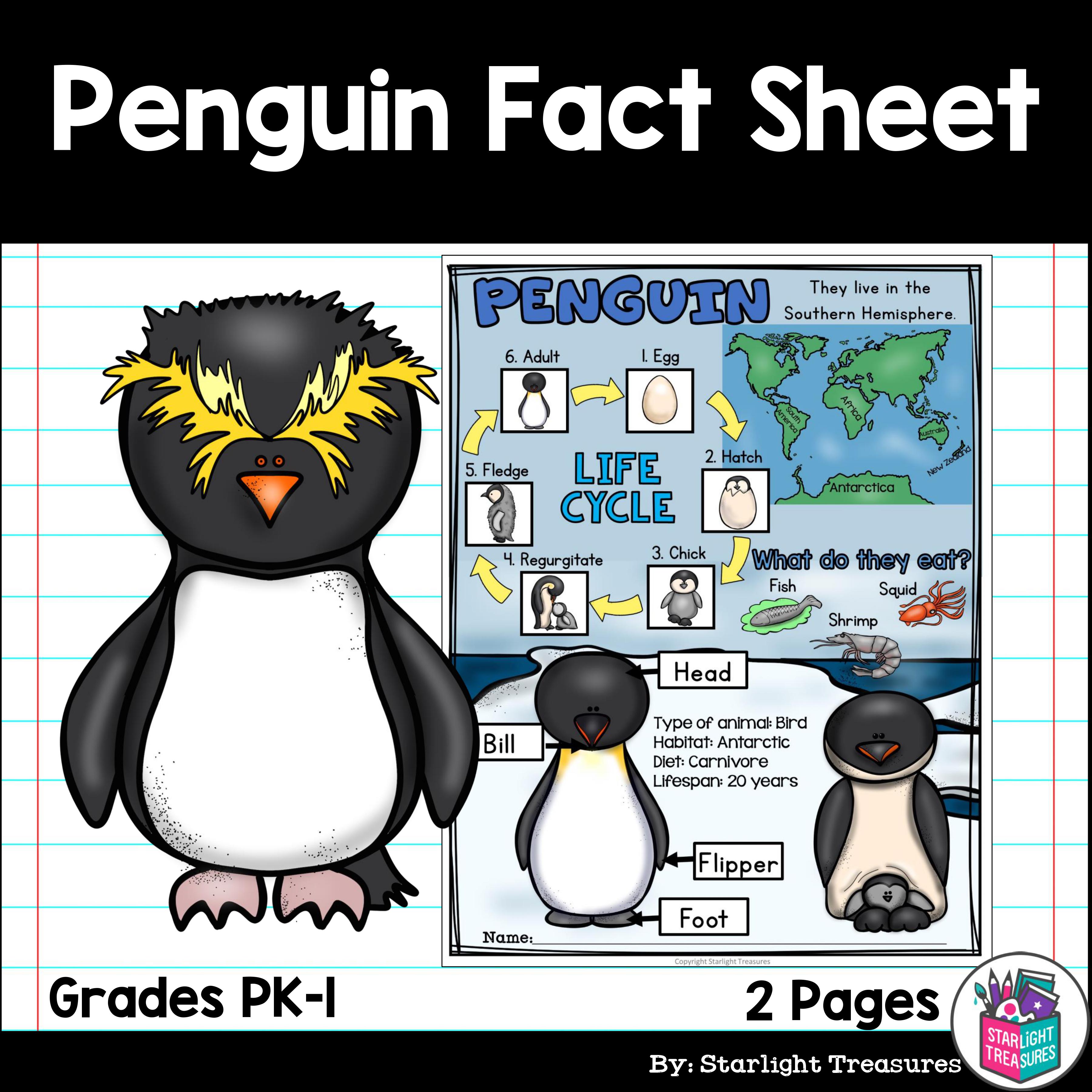 Penguin Fact Sheet For Early Readers   Animal Study | Made By Teachers