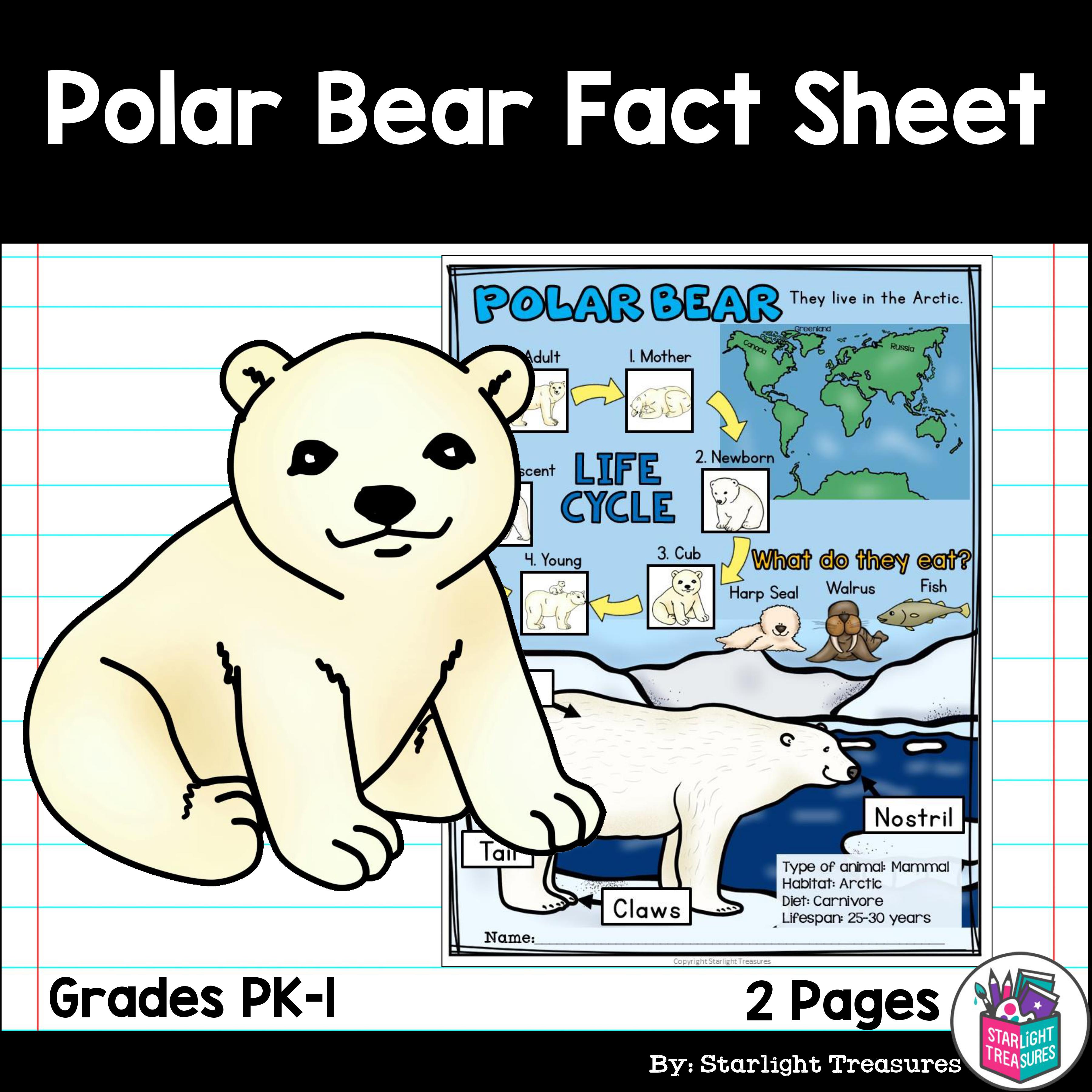 Unbelievable Polar Bear Fact:  Prepare To Be Astonished! - 0v33avo