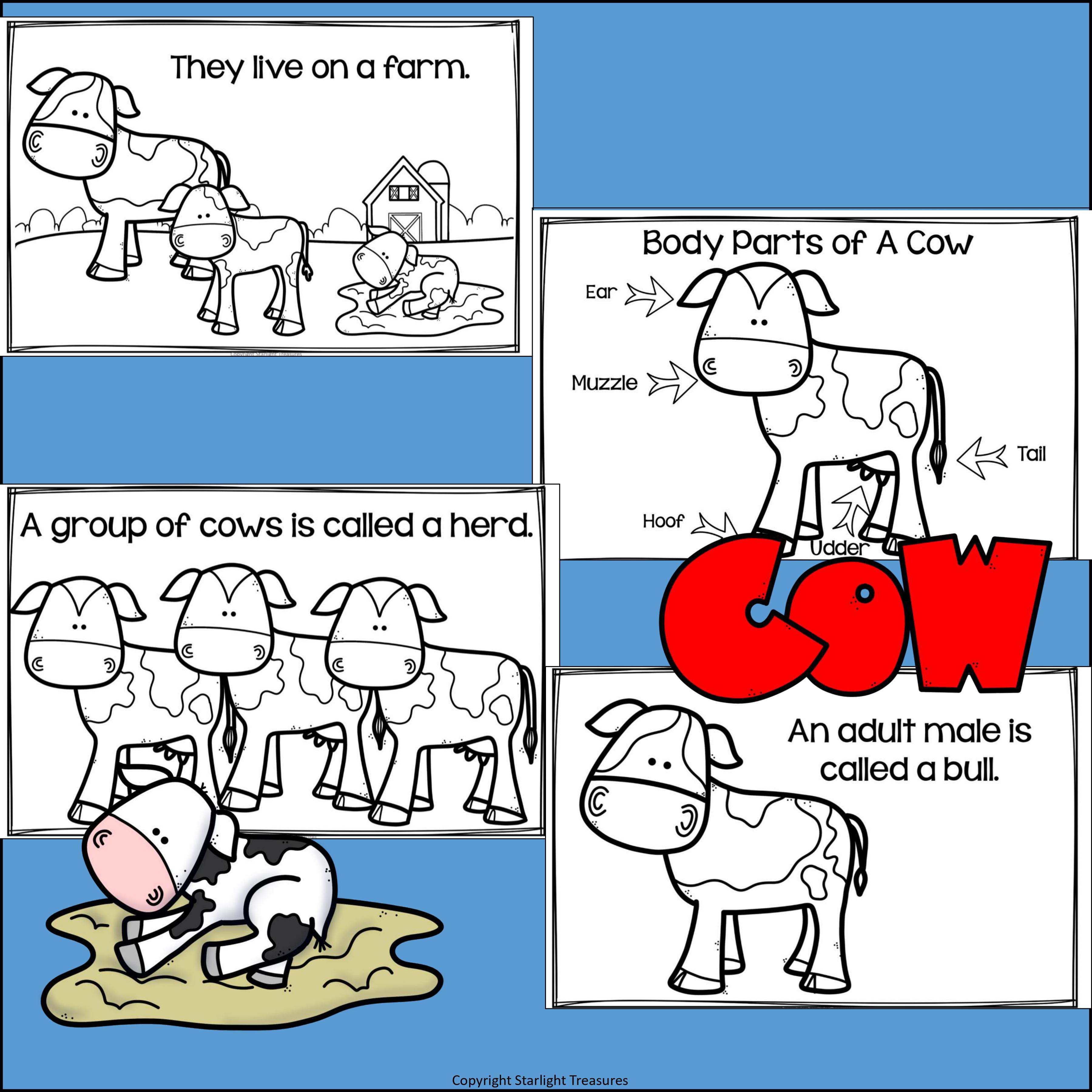 Cows Mini Book for Early Readers - Animal Study - Classful