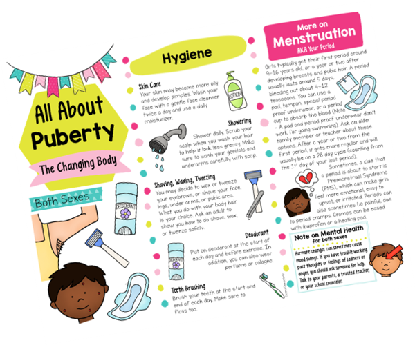 Puberty Pamphlet and Brochure Classful Puberty Pamphlet and Brochure Classful