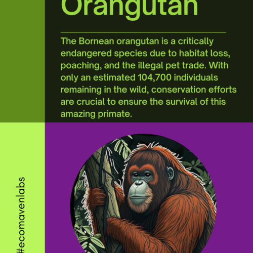 Bornean Orangutan 🦧 - AI Art For Good's featured image