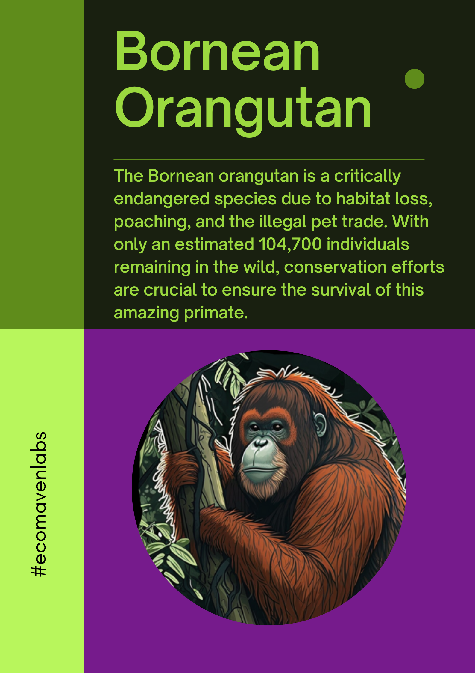 Bornean Orangutan 🦧 - AI Art For Good