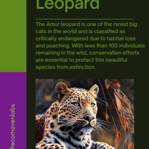 Amur Leopard 🐆 - AI Art for Good's featured image