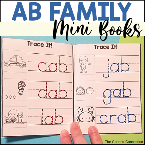 AB Word Family Foldable Mini Books's featured image