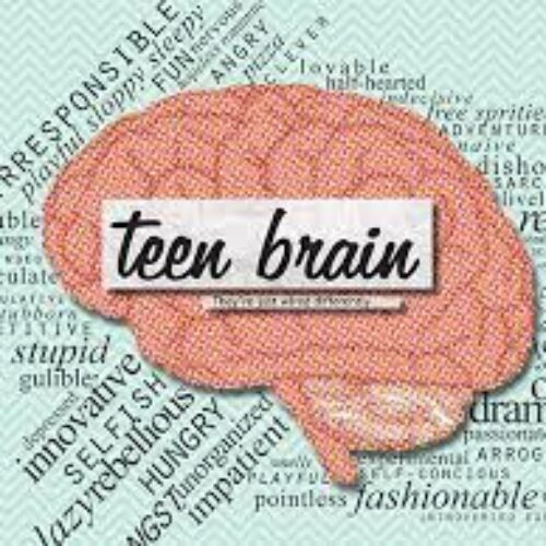 Understanding The Teenage Brain's featured image