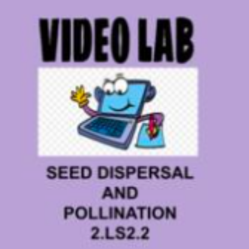 2nd Grade Science Video Lab Activity 2.LS2.2 Seed Dispersal & Pollination's featured image