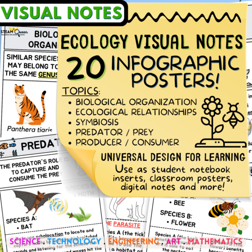 Ecology Visual Notes Infographics 20 Pack Ecological Relationships Middle School - Ecosystems Illustrated and Explained's featured image