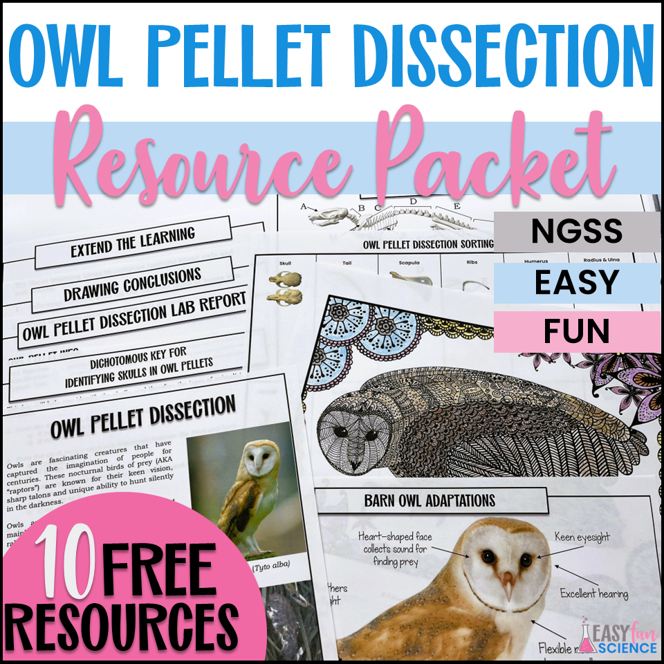 Home Project Owl Pellet Dissection Kit 