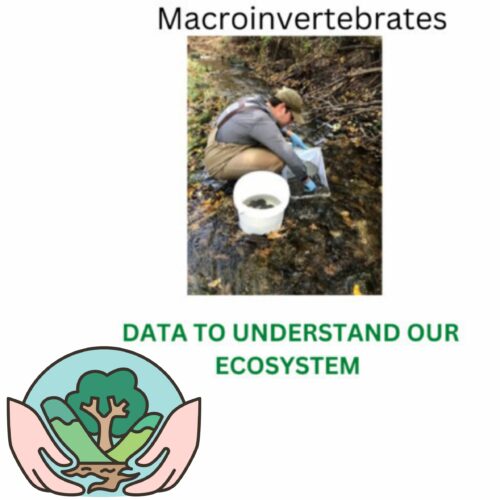 Biology Macroinvertebrate Pollution Tolerance Index Middle & High School Science's featured image