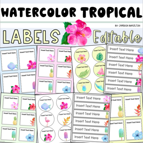 Watercolor Tropical Classroom Labels Decorations EDITABLE PowerPoint's featured image