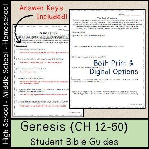 Book of Genesis Bible Study Questions (CH 12-50)'s featured image