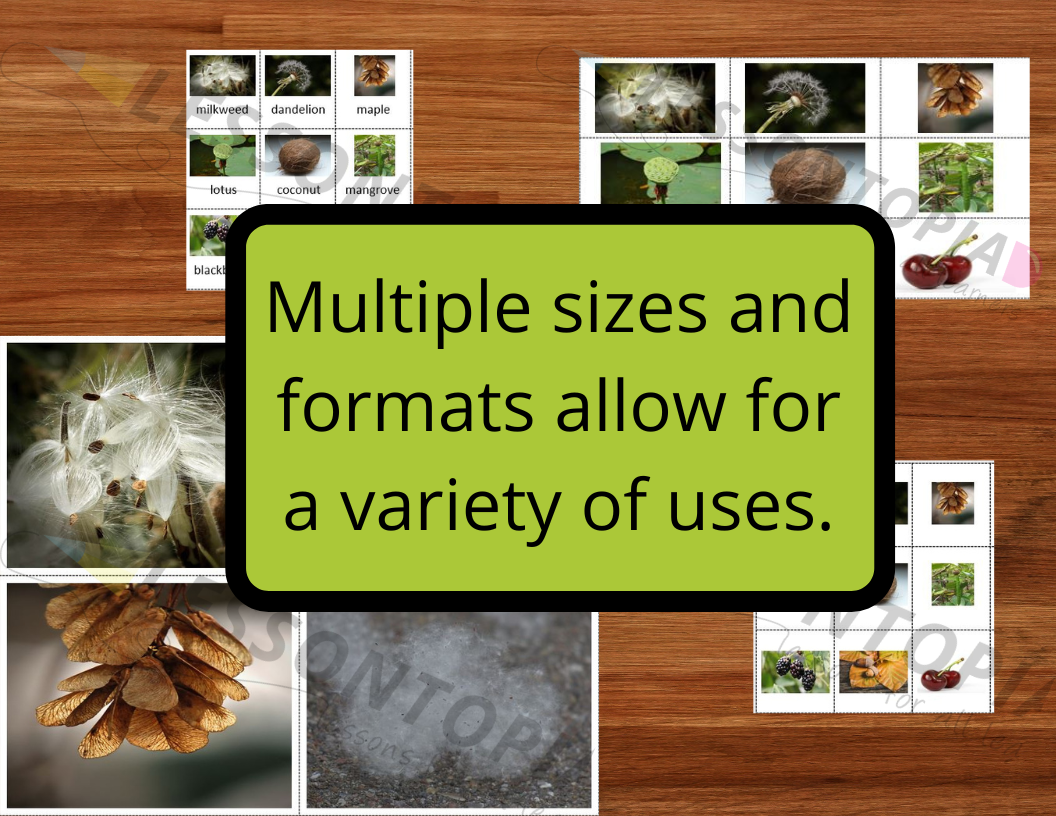 seed dispersal by animals clipart png