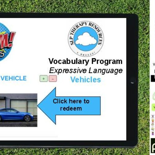 Expressive Language (Vehicles)'s featured image