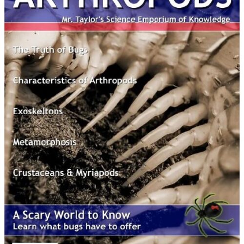 Arthropods Guided Notebook's featured image