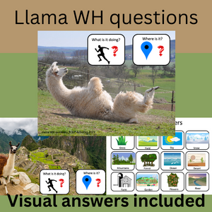 Llama themed WH questions with visual answer choices, What/where