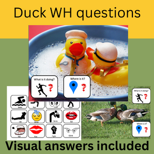 Duck themed WH questions with visual answer choices, What/where