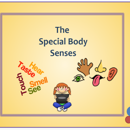The Special Body Senses's featured image