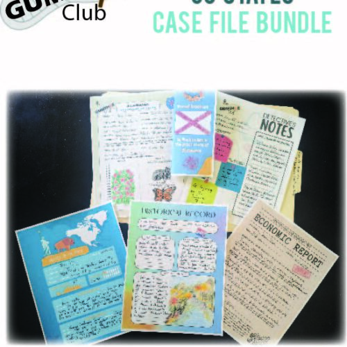 50 States Case File Bundle Report's featured image