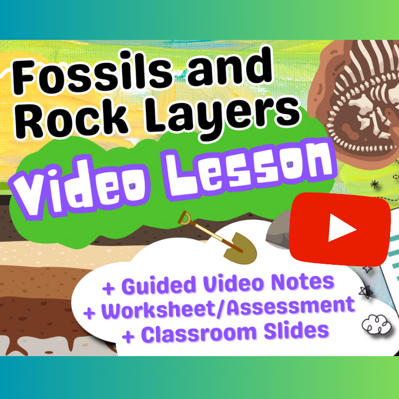 Fossils and Rock Layers: Video Lesson Bundle (Guided Video Notes, Slides, Worksheet, Assessment)
