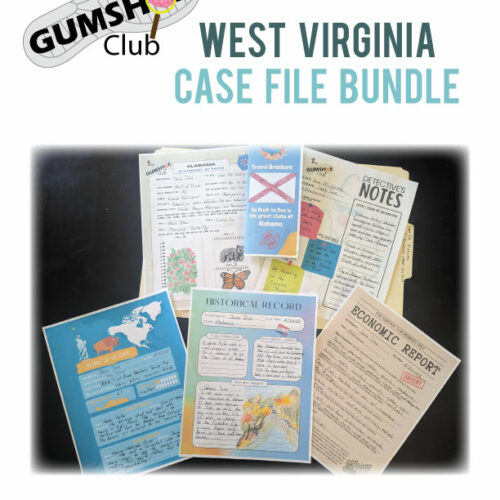 State of West Virginia Case File Report's featured image