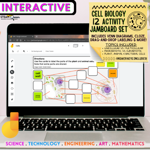 Interactive Cell Biology Jamboard Activities for Engaging Warm Ups